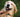 Top Reasons why having a pet at home is an excellent idea for the whole family!