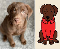 Dog Breeds: Labrador Retriever