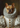 Royal Lady custom pet portrait canvas — French Bulldog as a Renaissance noblewoman