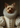 Royal Lady custom pet portrait canvas — Yorkshire Terrier as a Renaissance noblewoman