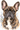 Watercolor custom pet portrait canvas — French Bulldog watercolor portrait
