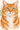 Watercolor custom pet portrait canvas — orange tabby cat watercolor portrait