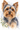 Watercolor custom pet portrait canvas — Yorkshire Terrier watercolor portrait