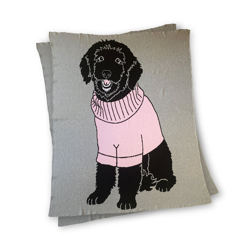 Dog wearing Sweater - Custom Knitted Blanket