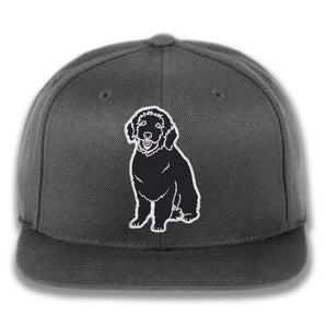 Plain Dog - Custom Snapback Hat