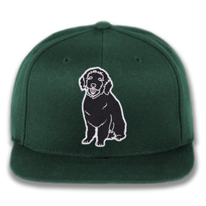 Plain Dog - Custom Snapback Hat