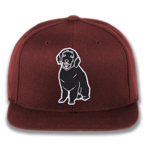 Plain Dog - Custom Snapback Hat