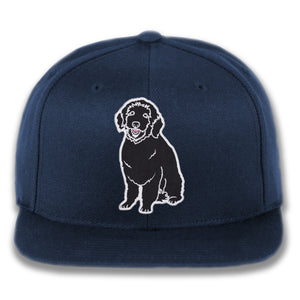 Plain Dog - Custom Snapback Hat