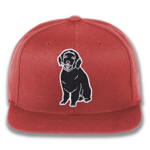 Plain Dog - Custom Snapback Hat