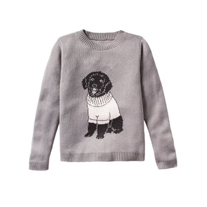 Dog Wearing Sweater - Custom Knitted Sweater